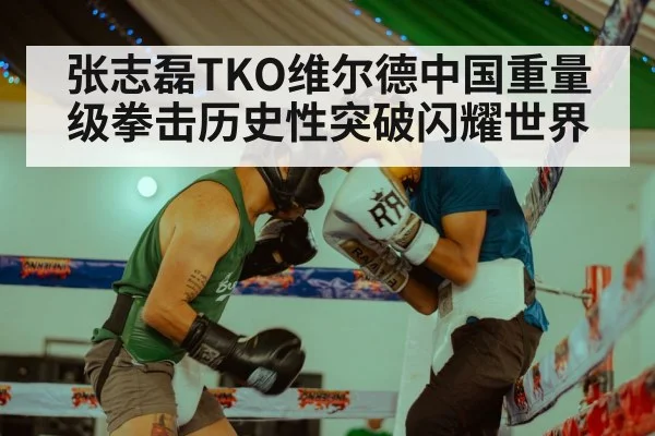 张志磊TKO维尔德中国重量级拳击历史性突破闪耀世界