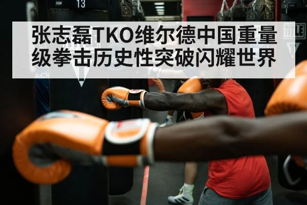 Deontay Wilder boxing