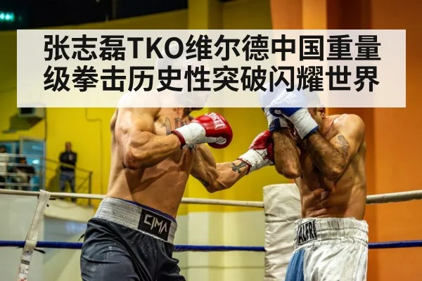 heavyweight boxing match